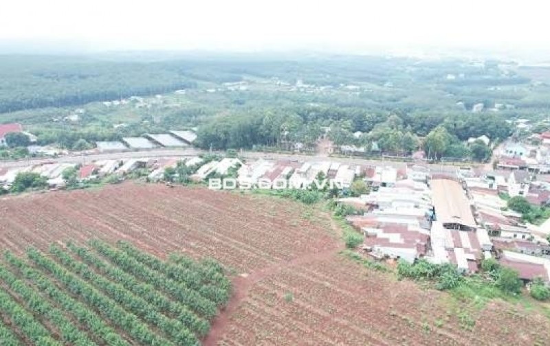 Đấu giá rút gọn QSDĐ và tài sản gắn liền với đất tại Đồng Nai